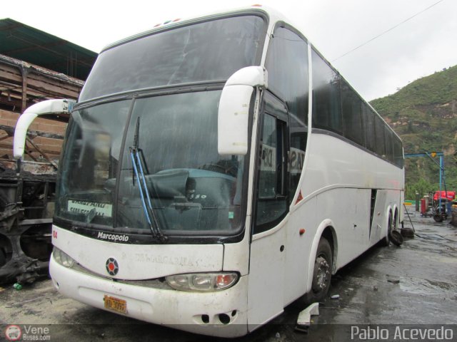 Particular NO USAR M�S 104 por Pablo Acevedo