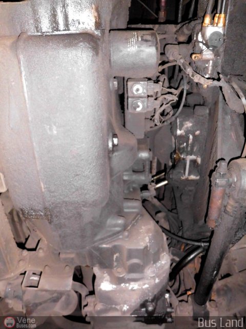 Particular o Desconocido 0343 por Waldir Mata