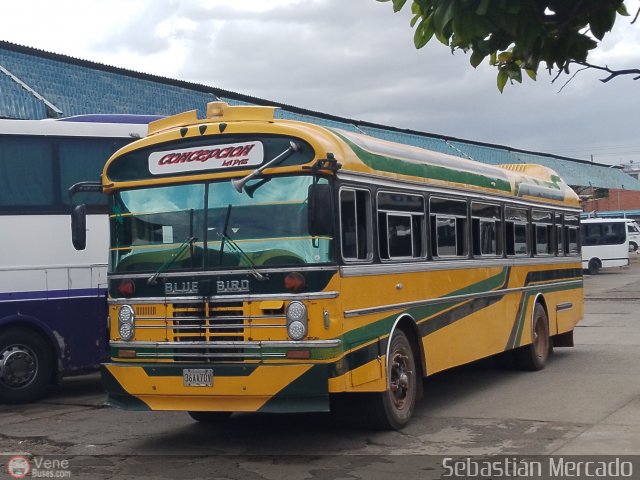 ZU - Colectivos Concepci�n 070 por Sebasti�n Mercado