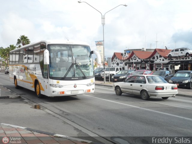 De Palm Tours 10 por Freddy Salas