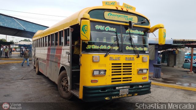 ZU - Colectivos Concepci�n 092 por Sebasti�n Mercado