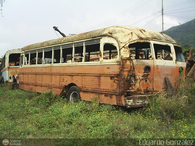 Instituto Municipal de Transporte Colectivo IMTC-T90 por Edgardo Gonzlez