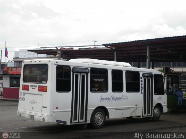 Transporte Virgen del Carmen 33 por Aly Baranauskas