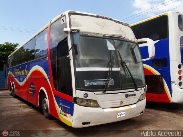 Expresos Occidente 019 por Pablo Acevedo