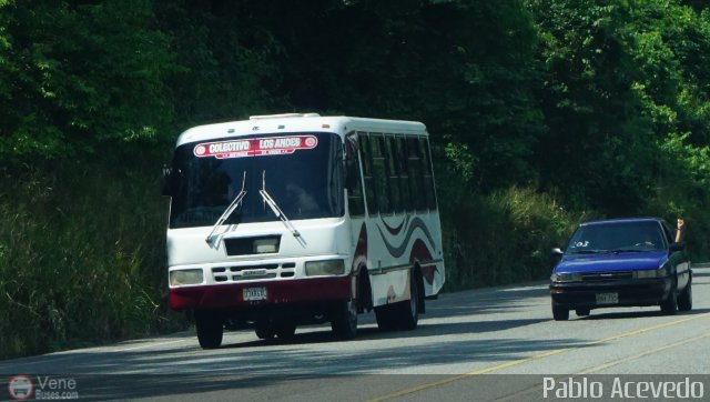 Colectivo Los Andes 999 por Pablo Acevedo