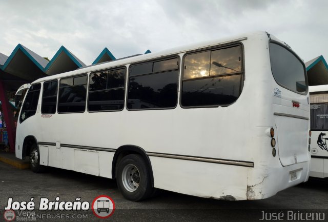 Transporte Barinas 050 por Jos Briceo