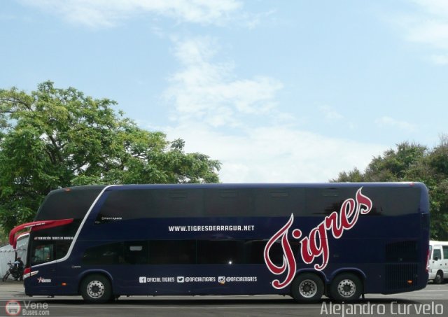 Tigres de Aragua B.B.C. 01 por Alejandro Curvelo