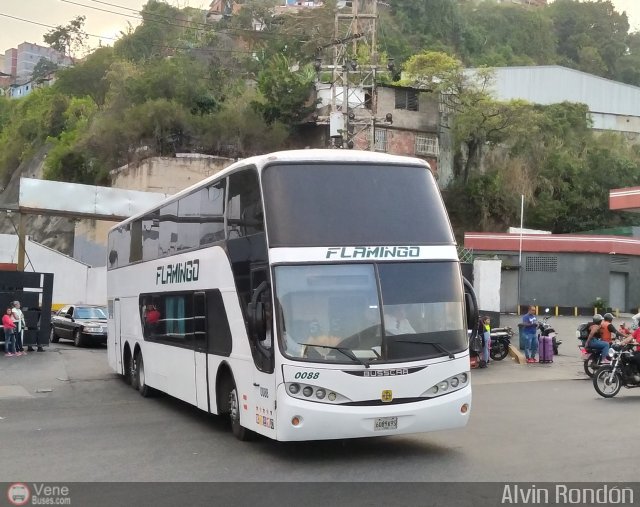 Expresos Flamingo 0088 por Alvin Rondn