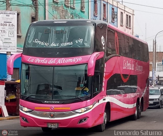 Transportes La Perla de Alto Mayo 965 por Leonardo Saturno