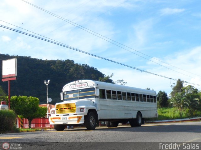 TA - Uni�n Transporte El Corozo S.A. 36 por Freddy Salas