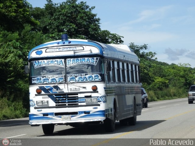 Transporte Chirgua 0032 por Pablo Acevedo