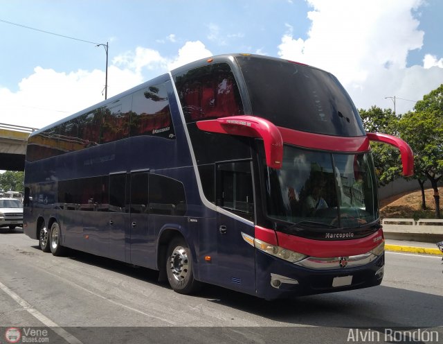 Tigres de Aragua B.B.C. 01 por Alvin Rond�n