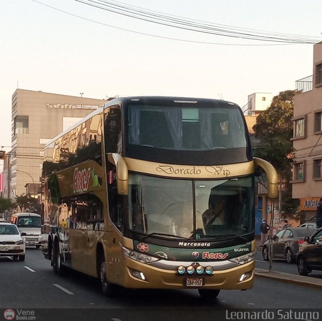 Transporte Flores Hermanos S.R.L 957 por Leonardo Saturno