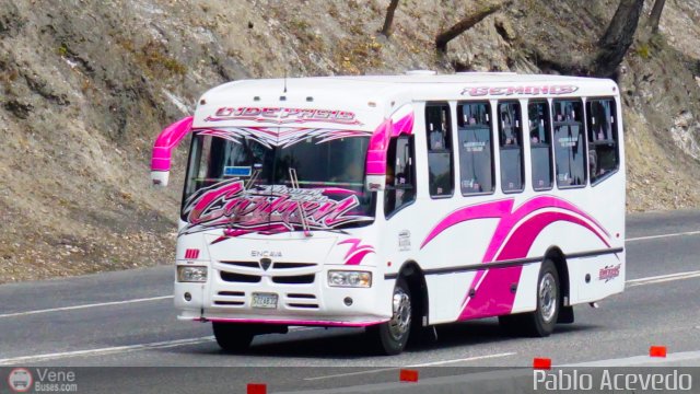 A.C. Indepasib 118 por Pablo Acevedo