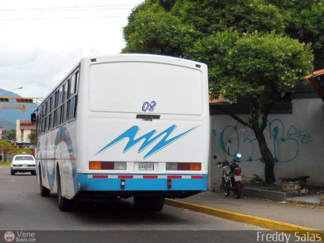 TA - Lnea Santa Teresa 08 por Freddy Salas