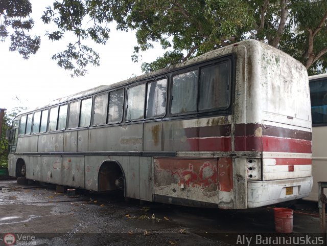 En Chiveras Abandonados Recuperaci�n 200 por Aly Baranauskas