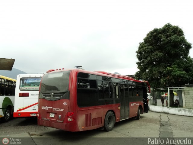 Expresos Continente C-02 por Pablo Acevedo