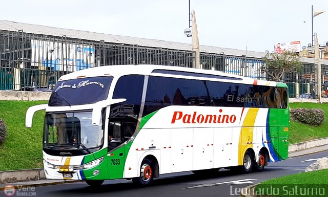 Expreso Internacional Palomino 7033 por Leonardo Saturno