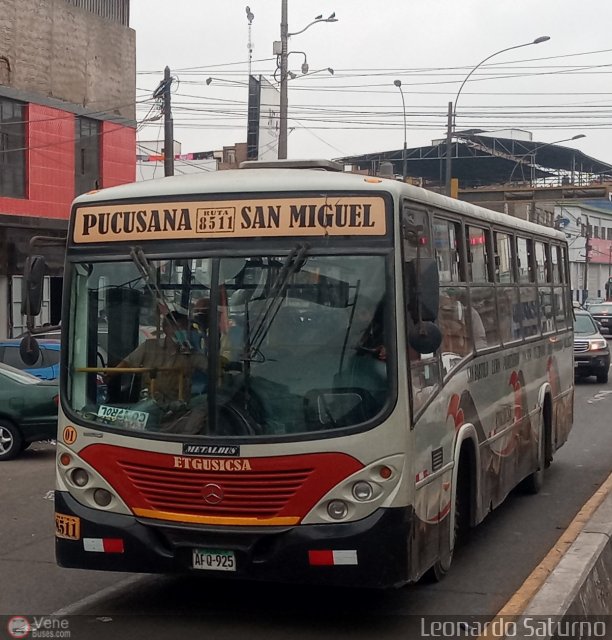 E.T. y Servicios Guadulfo Silva Carbajal 001 por Leonardo Saturno