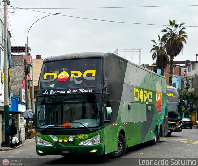 Trans Dora 954 por Leonardo Saturno