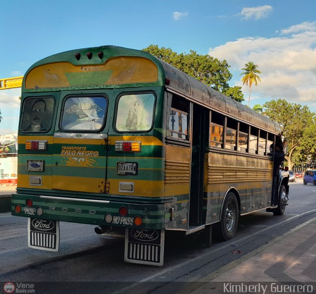 Transporte Palo Negro La Morita 2 029 por Kimberly Guerrero