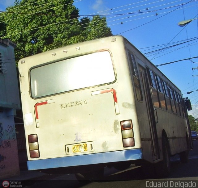 Transporte Valles Altos de Carabobo 011 por Eduard Delgado