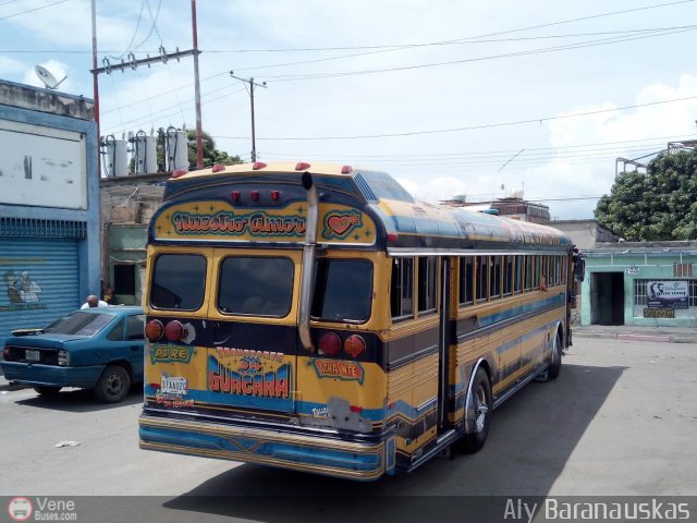 Transporte Guacara 0034 por Aly Baranauskas