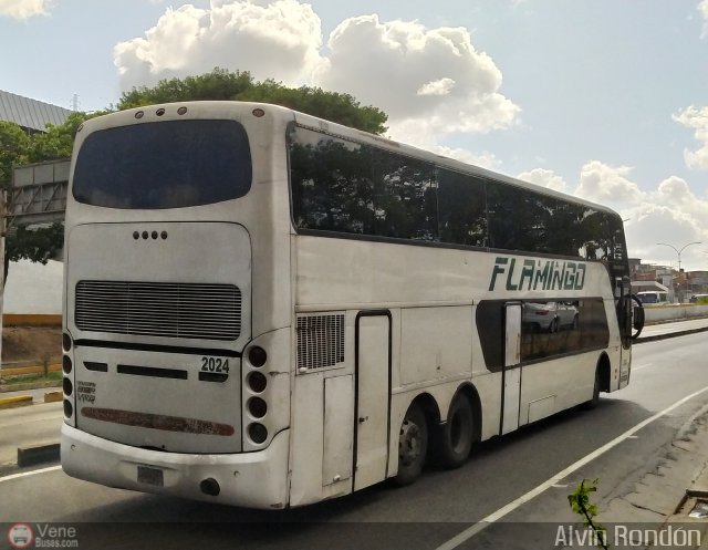 Expresos Flamingo 2024 por Alvin Rond�n