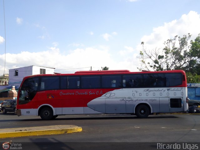 Cruceros Oriente Sur 113 por Ricardo Ugas