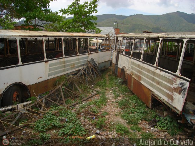 DC - Autobuses Aliados Caracas C.A.  por Alejandro Curvelo