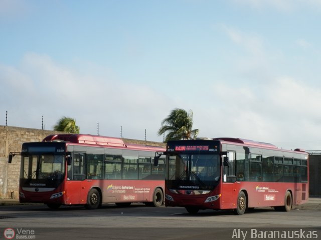 Garajes Paradas y Terminales El Tigre por Aly Baranauskas