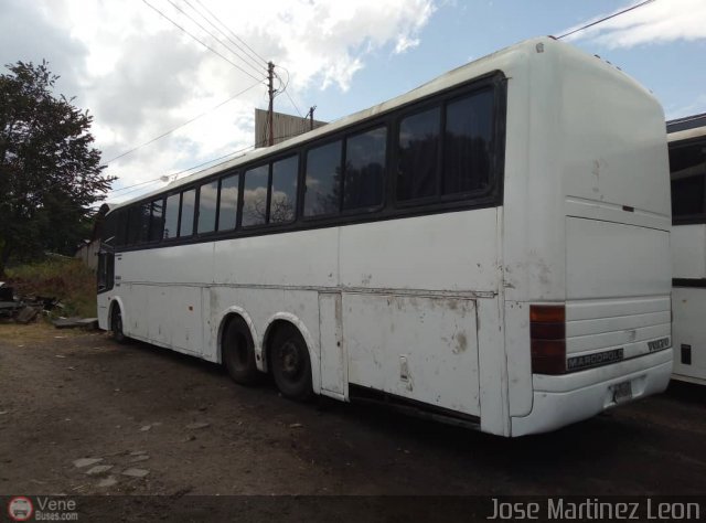 Particular JML005 por Oliver Castillo
