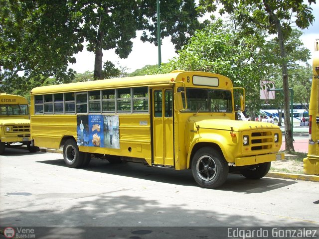 Universitarios y Escolares 8 por Edgardo Gonzlez