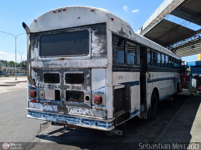 Colectivo Matera Nueva 17 por Sebastin Mercado