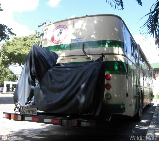 Particular Brasilero-01 por Waldir Mata