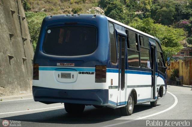 DC - Tigres de Plan de Manzano 046 por Pablo Acevedo