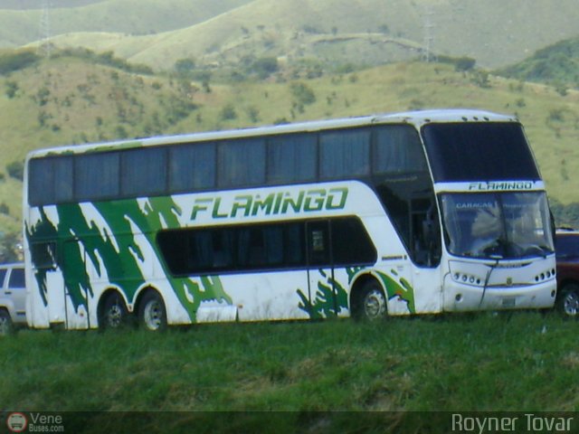 Expresos Flamingo 0053 por Royner Tovar