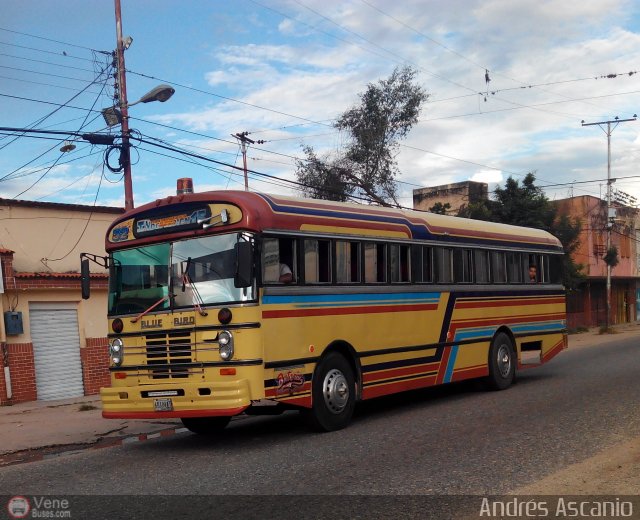 CA - Unin Vivienda Popular Los Guayos 001 por Andrs Ascanio