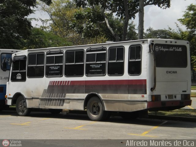 Uni�n Venezuela 55 por Alfredo Montes de Oca