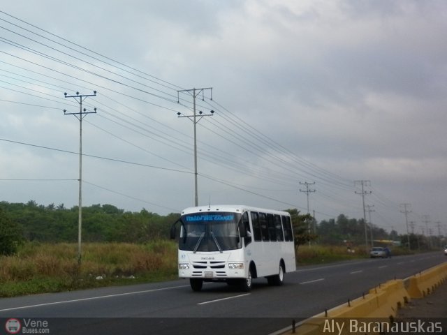 Transporte Virgen del Carmen 57 por Aly Baranauskas