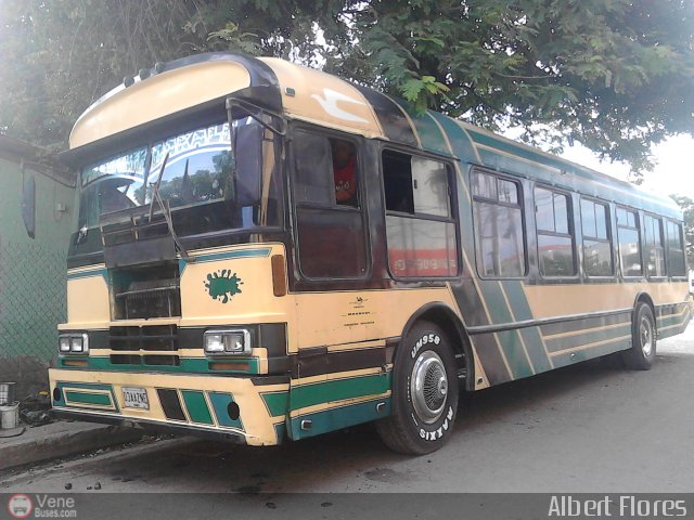 A.C. Unin Palo Negro 014 por Albert Flores