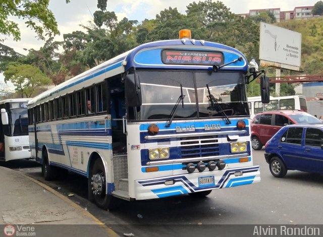 Expresos Nirgua 0060 por Alvin Rond�n