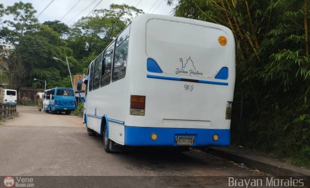 TA - A.C. L�nea Intercomunal 28 por Jerson Nova