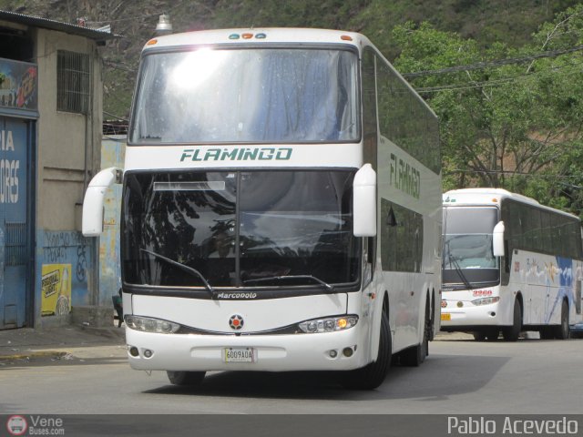 Expresos Flamingo 0103 por Pablo Acevedo