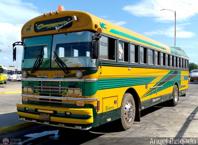 ZU - Colectivos Concepci�n 034 por �ngel Delgado