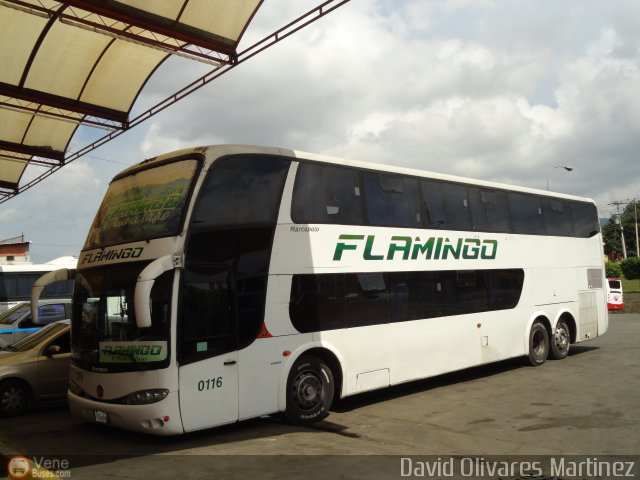 Expresos Flamingo 0116 por David Olivares Martinez