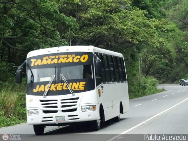 A.C. de Transporte Sol de Tamanaco 41 por Pablo Acevedo