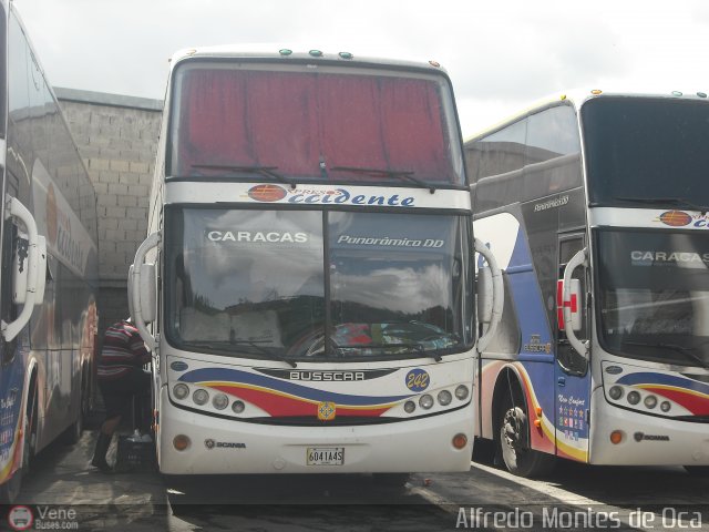 Expresos Occidente 242 por Alfredo Montes de Oca