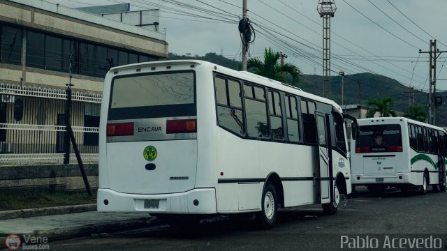 A.C. de Transporte Larense 45 por Pablo Acevedo