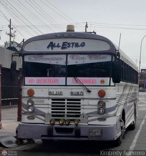 AR - Asociacin Cooperativa Los Caobos 37 por Kimberly Guerrero